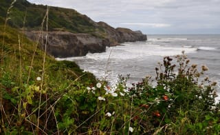 Ravenscar to Robin Hoods Bay image