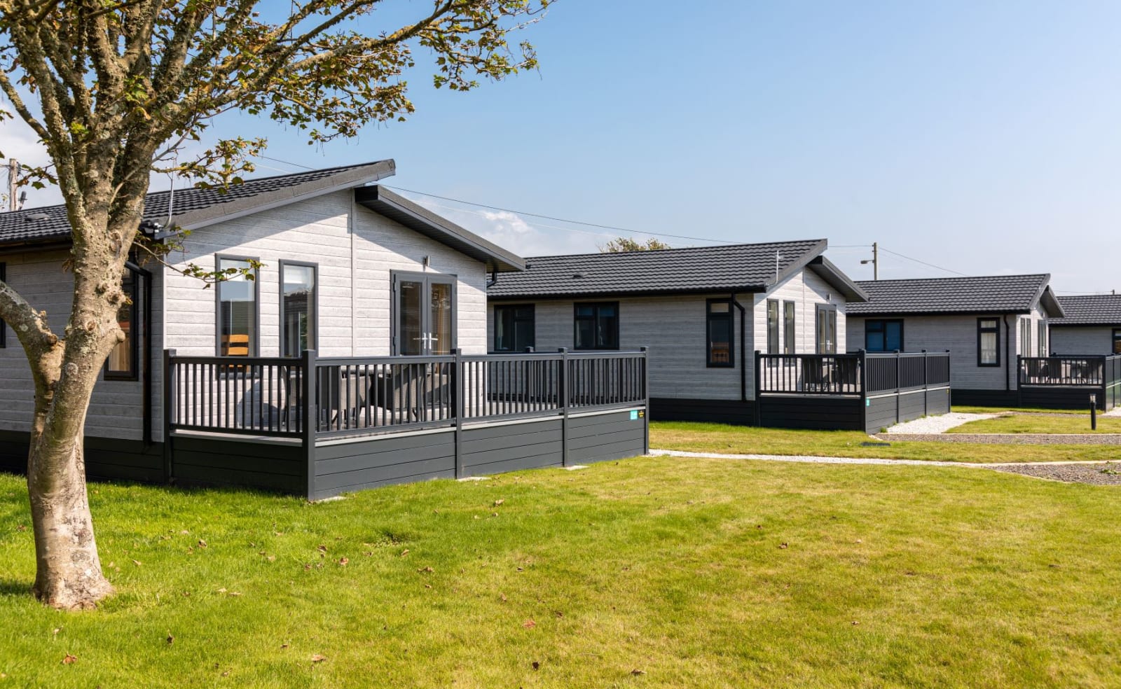 Our amazing lodges at one of our holiday parks. There are three luxury lodges surrounded by green grass, and the sun is shining down. image