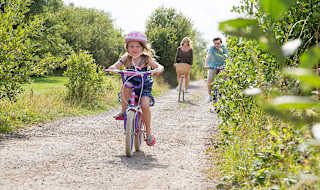 New Forest cycle