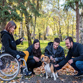 Something for everyone