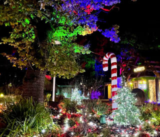 Discover our Winterfest event