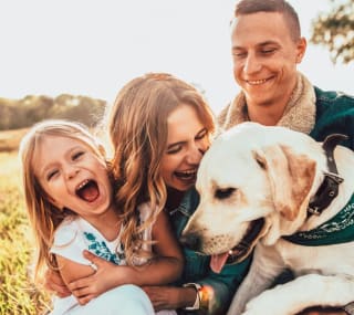 Dog friendly breaks image