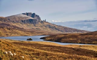 The Borders image