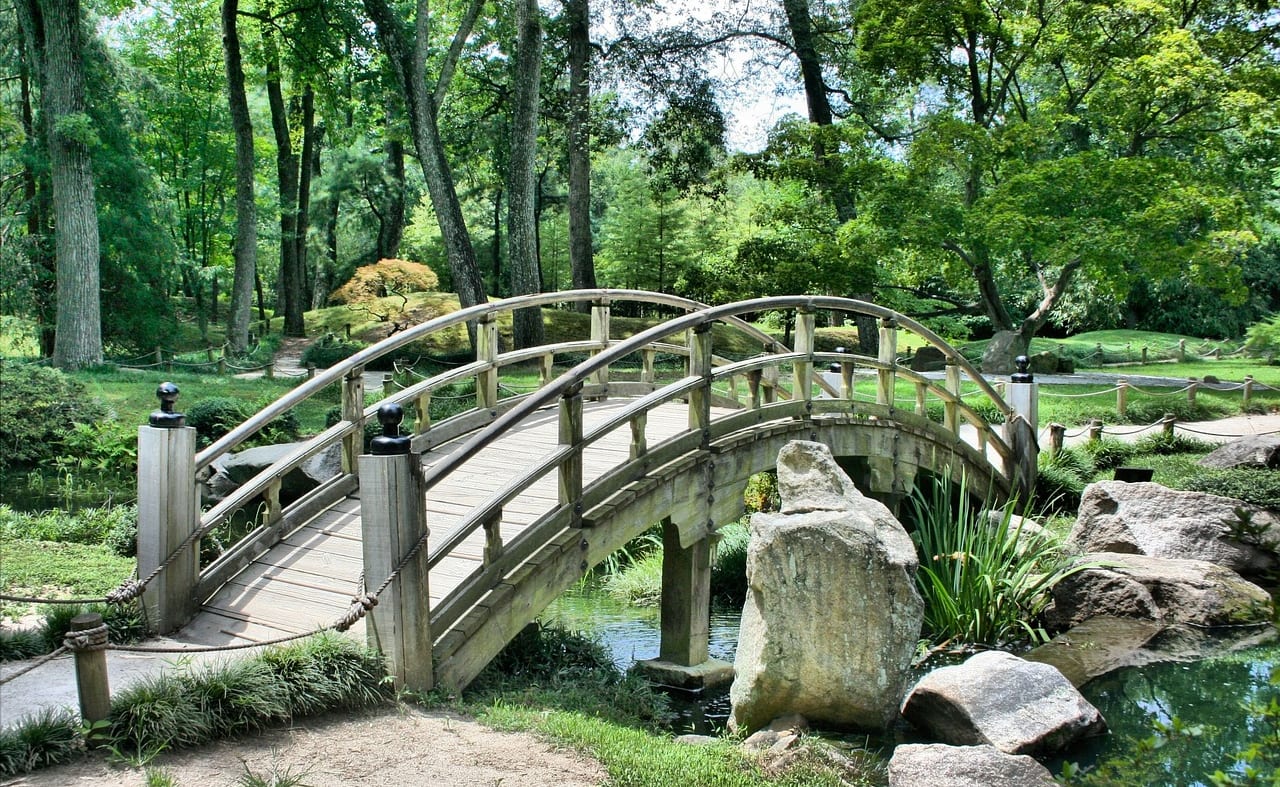 The Borough Gardens image