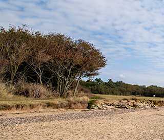 The 10 best beaches in Essex