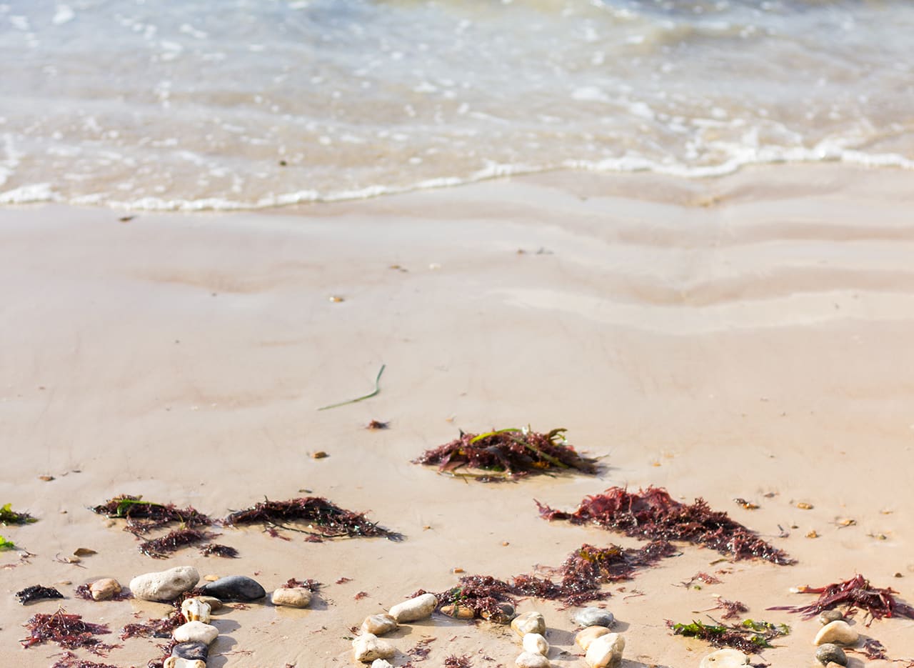 Colwell Bay image