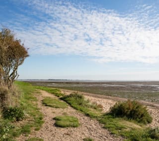 A image of Cudmore Grove County Park on a cloudy summers day. image