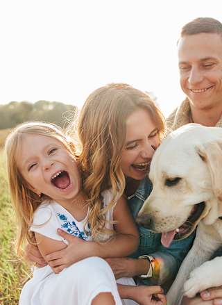 Things to do in Dorset with dogs