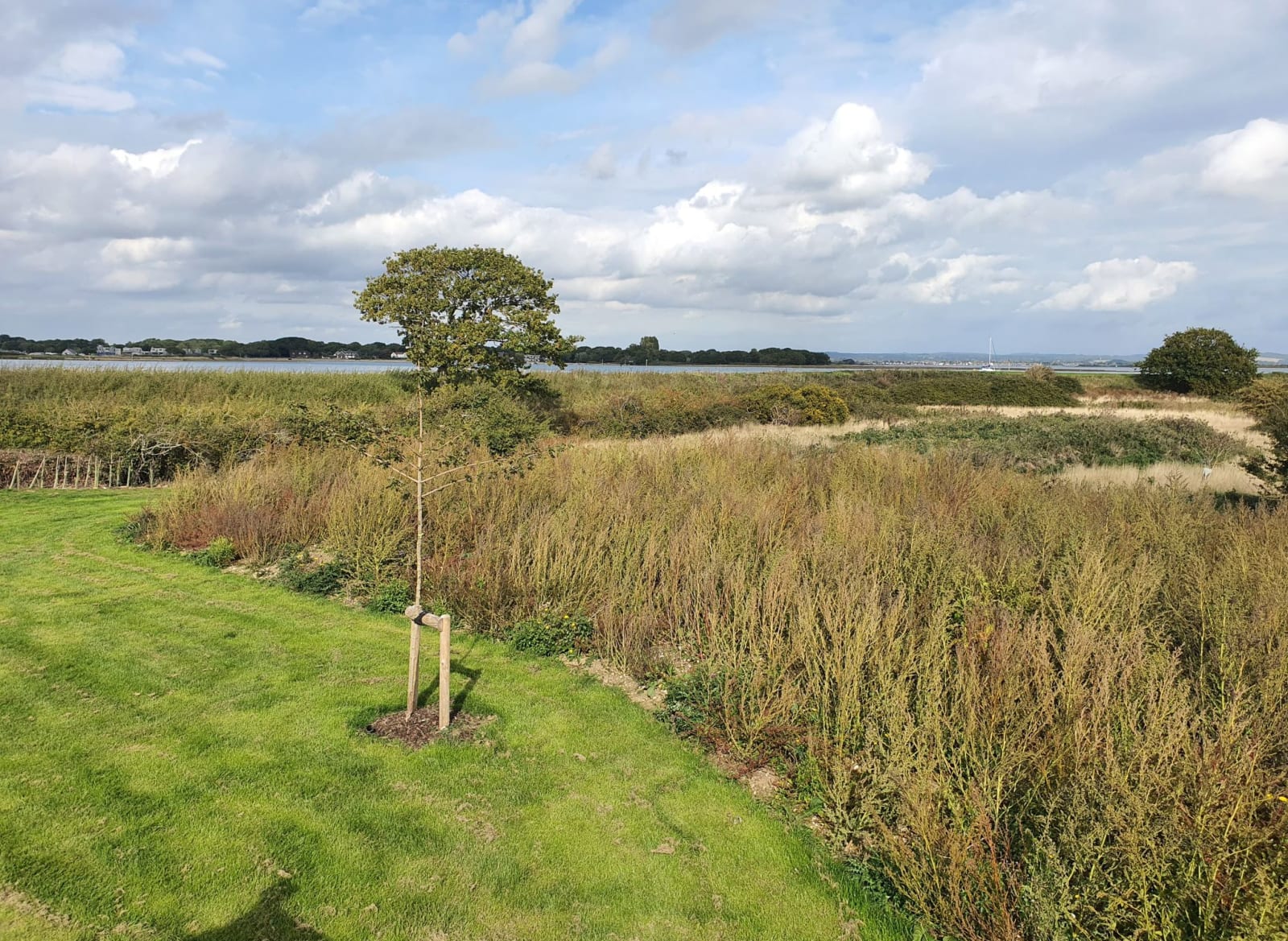 Exclusive Nature Reserve Lodge image