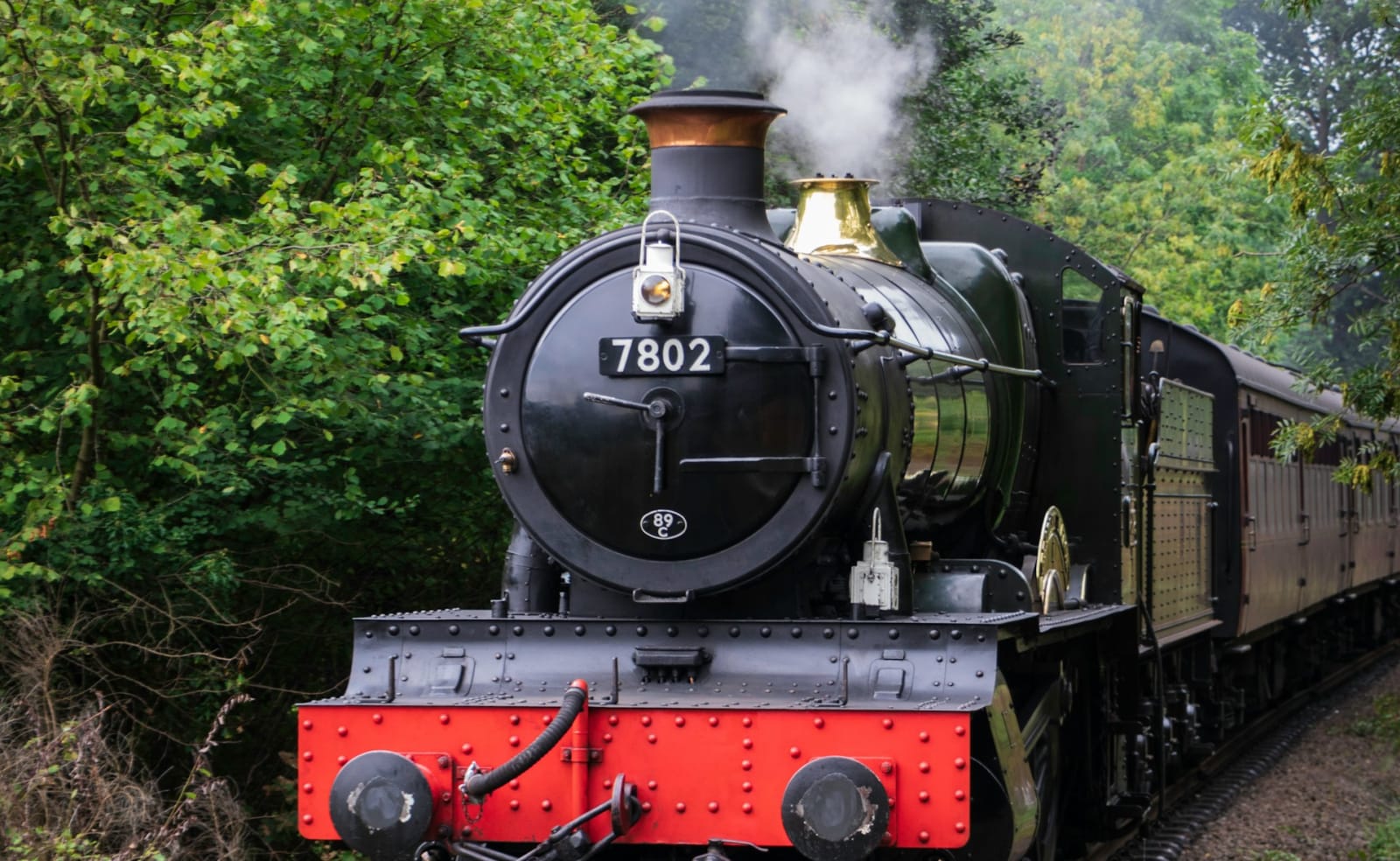 Isle of Wight Steam Railway image