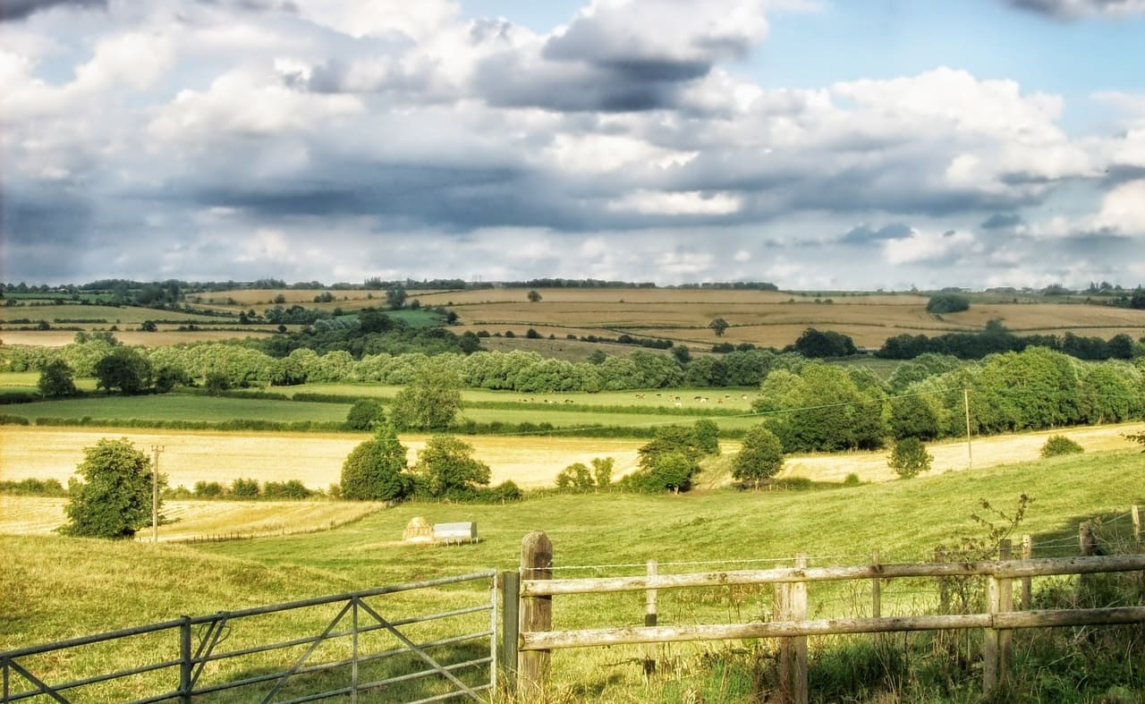 Nocton Wood Walk image