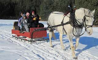 Sleigh Rides or Horse-Drawn Carriage image