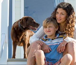 Dog friendly holidays