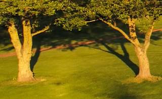 Boston West Golf Club image