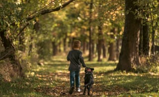 New Forest National Park image