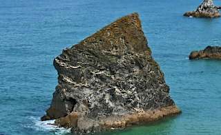 Exploring Bedruthan Steps image