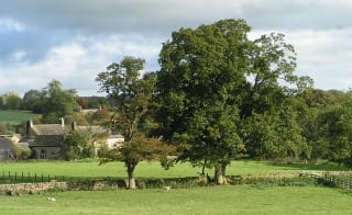 Dunston and Nocton image