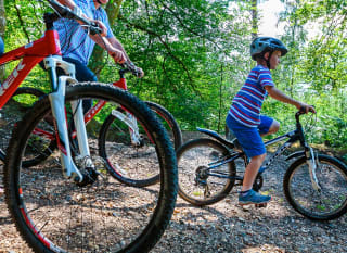A family out cycling together through the woods. image