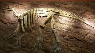 Dinosaur Isle