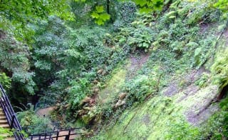 Shanklin Chine, Shanklin image