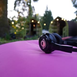 Listen to the plants