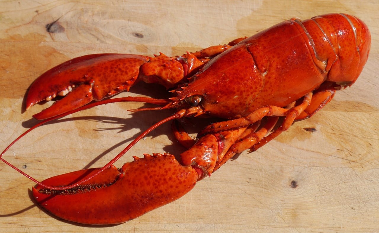 Smoking Lobster image