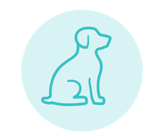 Paws welcome! Bring your furry friends