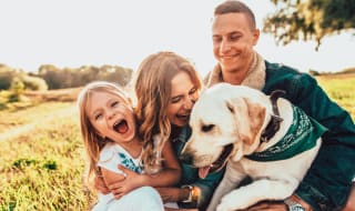 Our top things to do on holiday with your dog image