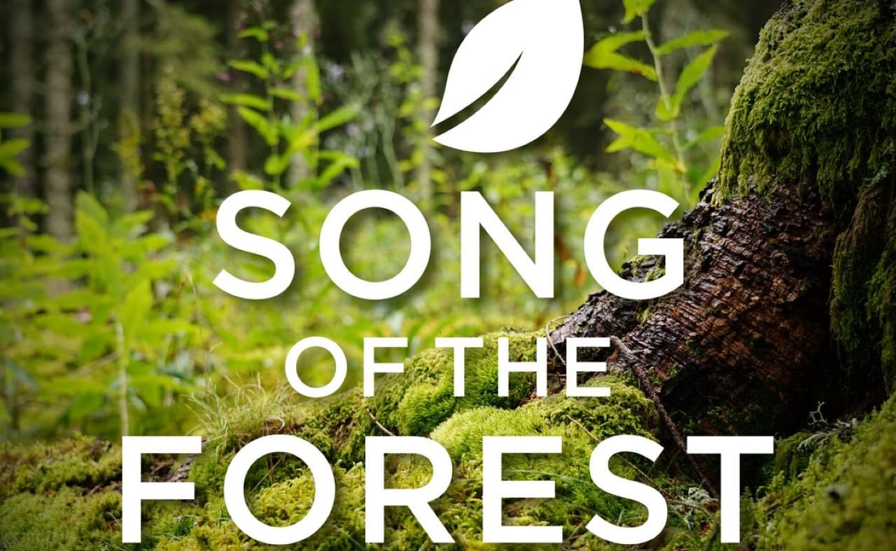 Song of the Forest image