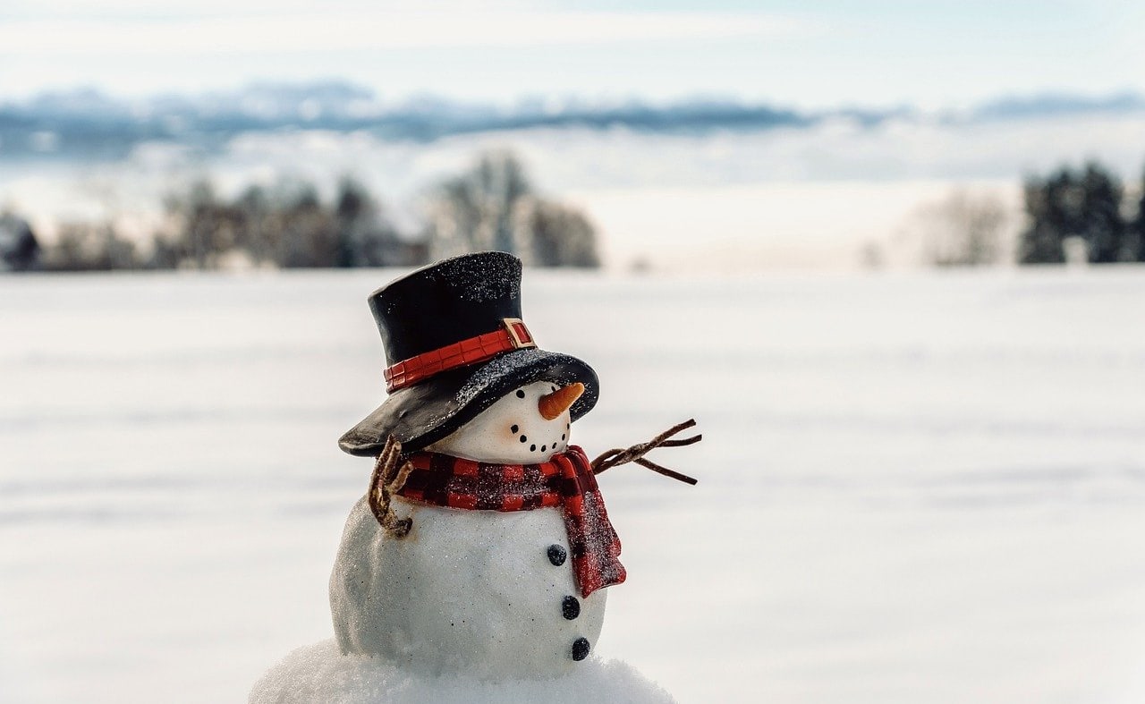 Build a Snowman image