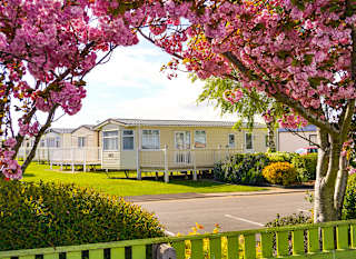 New Forest Holidays at Sandy Balls