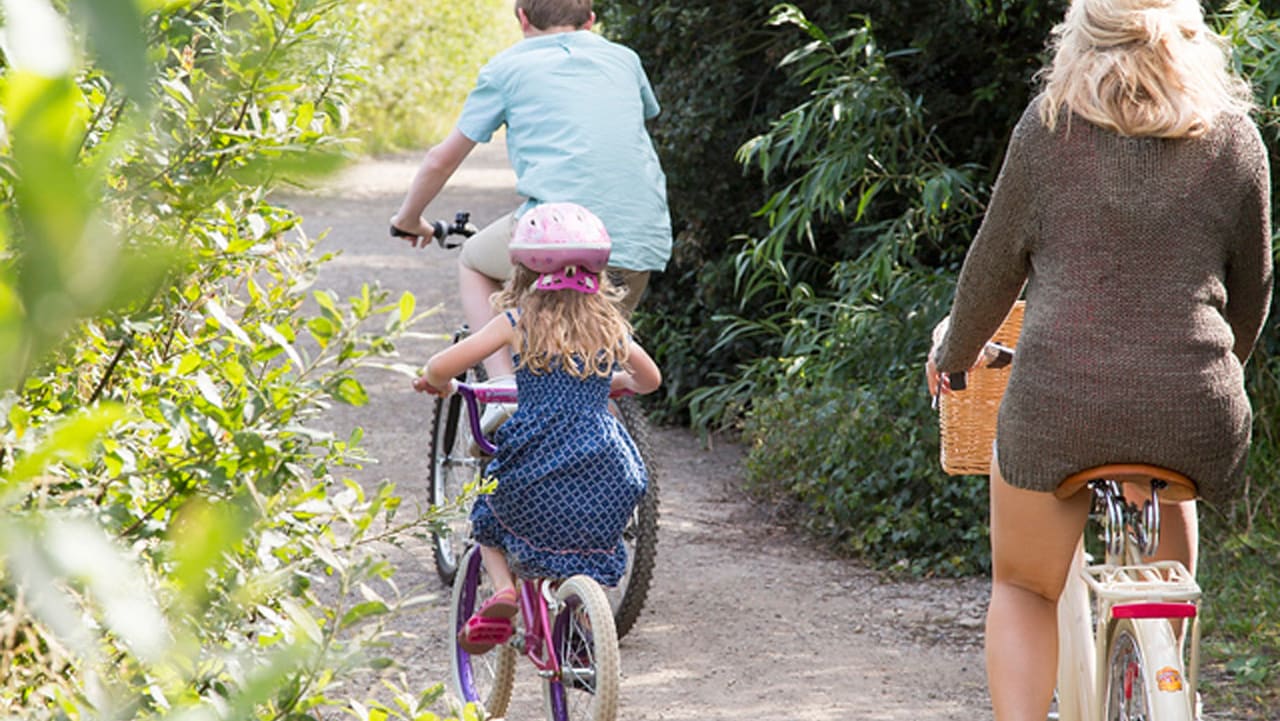 A family out cycling on a sunny day through the woods.