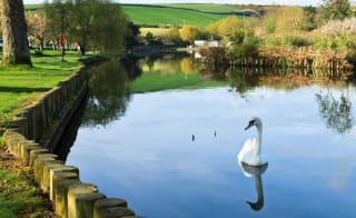 Trenance Gardens and Leisure Park image