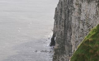Cloughton and Hayburn Wyke image