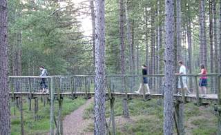 A family walking across a bridge at the Moors Valley Country Park in Hampshire. image