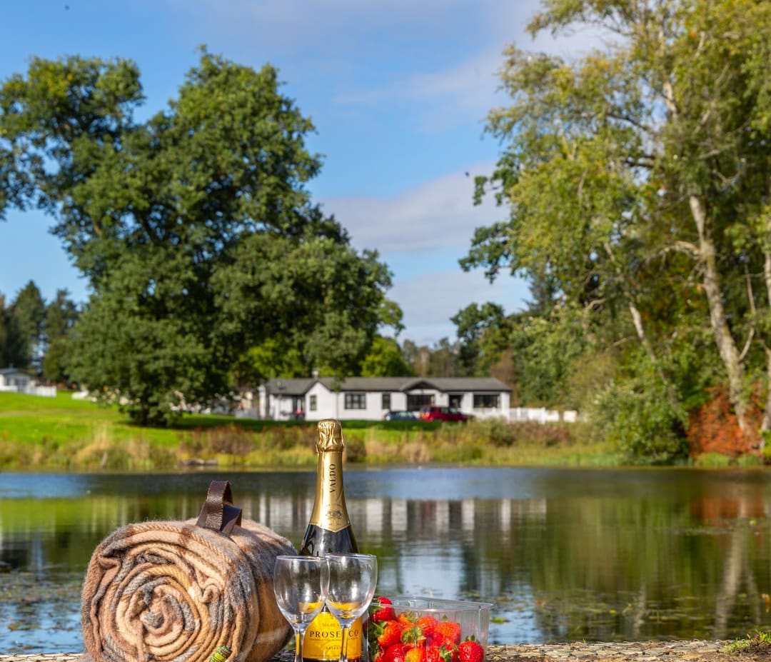 A view of the lake at our park in Scotland, Moffat Manor. There is a picnic blanket on the floor with a rolled up blanket, bottle of bubbly, two wine glasses and some strawberrys.