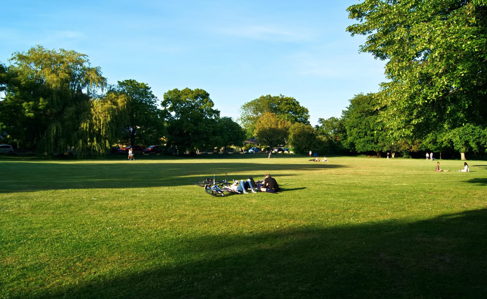 Poole Park image