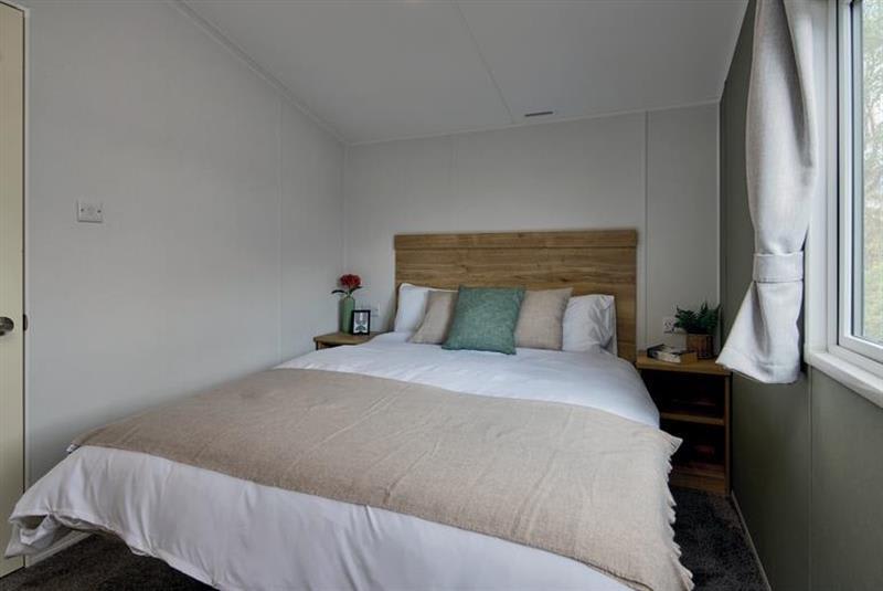 Ellerton Extra image