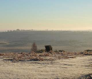A view of the stunning New Forest on a snowy, winter's day.