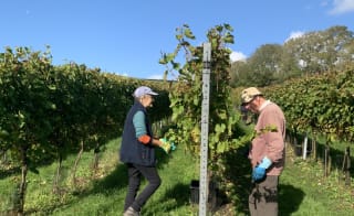 Bride Valley Vineyard Online Shop image