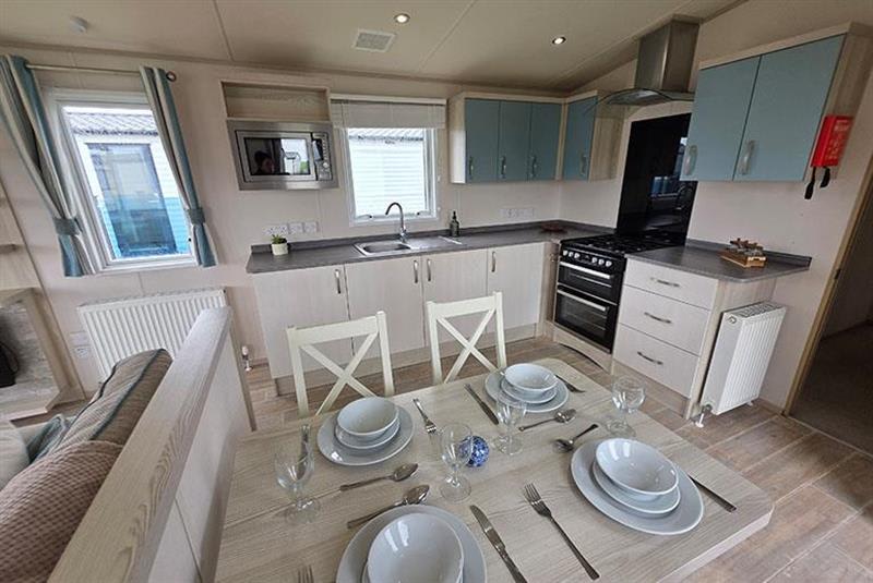 Beachcomber image