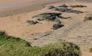 Harlyn Bay Beach image