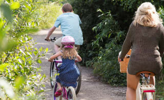 A family enjoying a day exploring the woods on their bikes. image