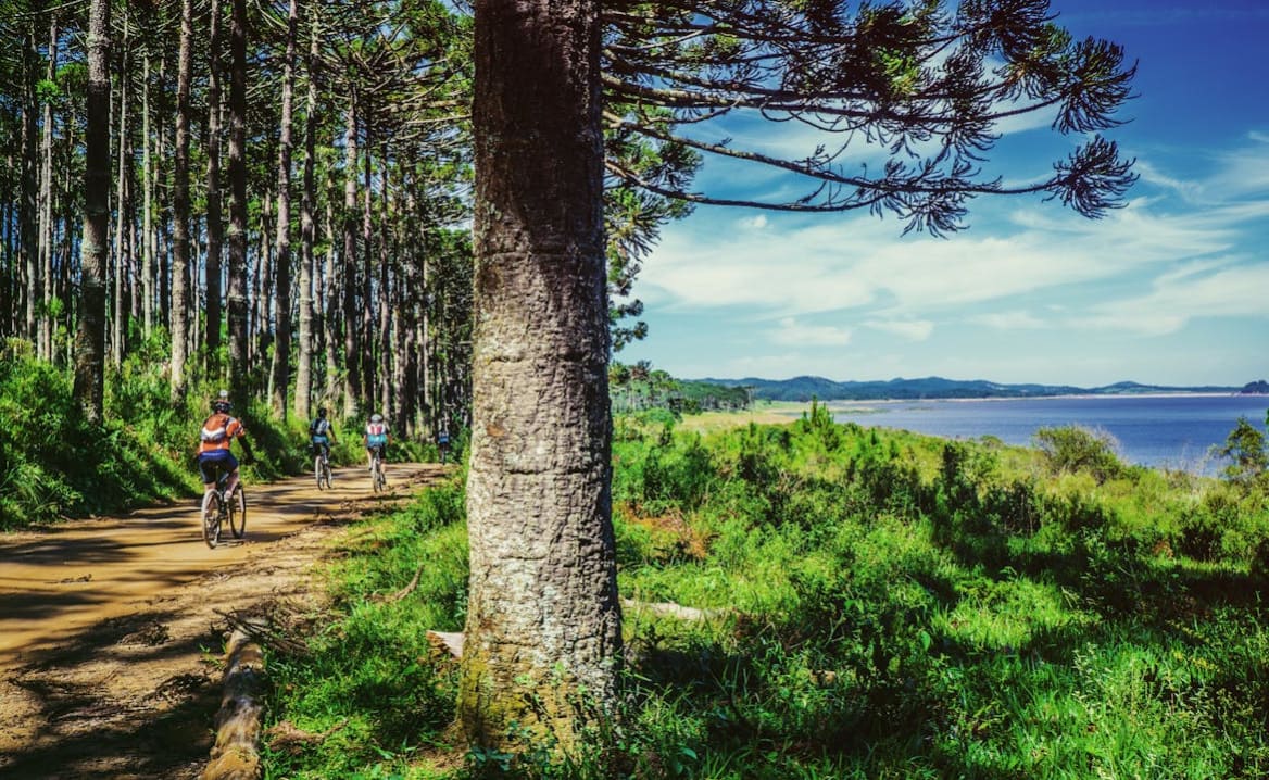 Cowes to Brighstone image