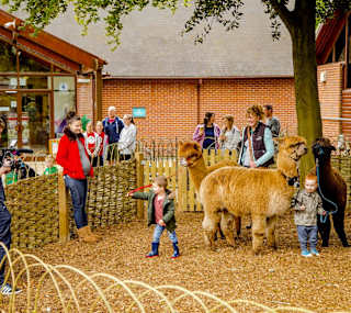 Activities for groups image