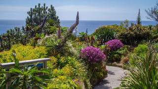 Minack Theatre garden
