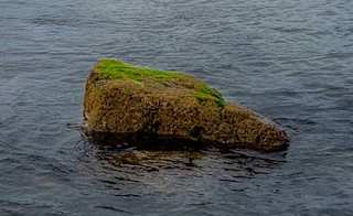 St Michaels mount image