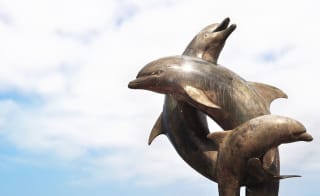 Dolphin Sculpture and Water Feature image
