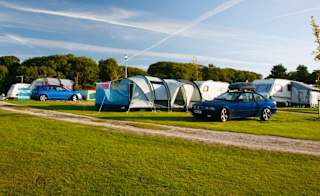 A row of pitched tents, caravans and cars are parked up on a grass parking spot on a sunny day. image