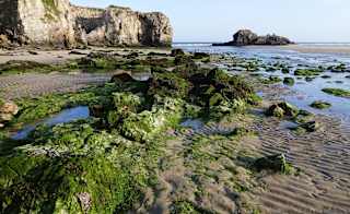 Perranporth Beach image